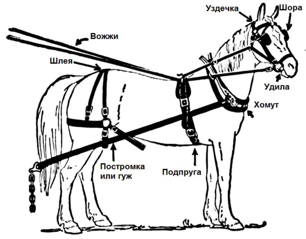 Упряжь тройки схема