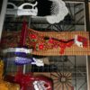 Мини-выставка «Многоцветье единой нации»